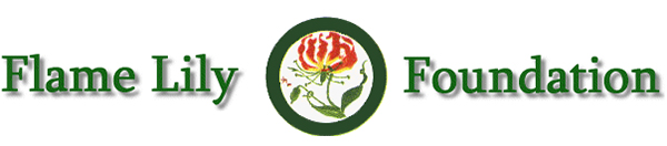 Flame Lily Foundation logo of the Rhodesian Asociation of South Africa